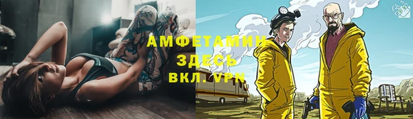 шишки Арсеньев