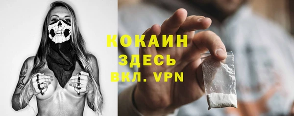 шишки Арсеньев