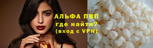 шишки Арсеньев
