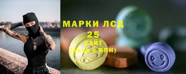 шишки Арсеньев