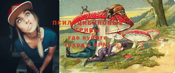 шишки Арсеньев