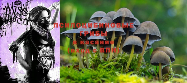 метамфетамин Аркадак